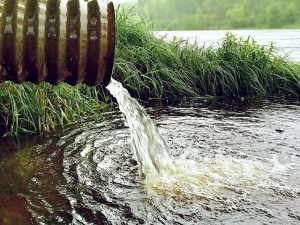 Handlungsempfehlung zum Umgang mit Regenwasser - Merkblatt DWA-M153
